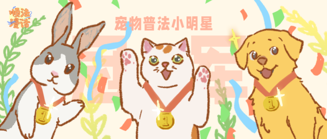 萌宠“违规”了?这份法律攻略要收好